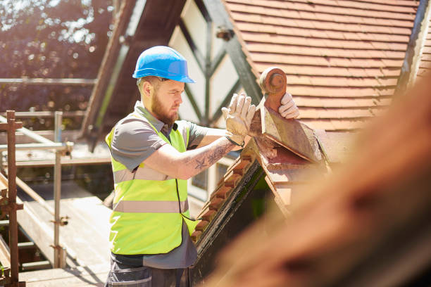 Roof Gutter Cleaning in Marshall, WI